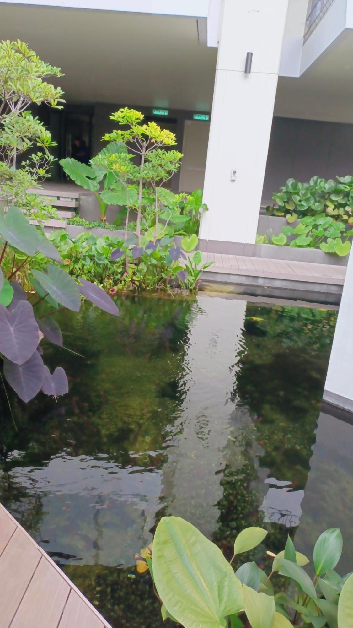 Lucantia Serviced Suites 吉隆坡 外观 照片